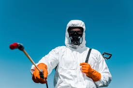 Best Bed Bug Extermination  in Northport, AL